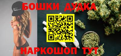 МДПВ Пушкино