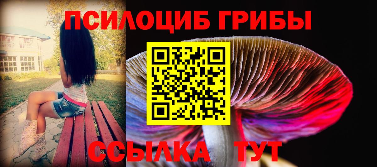 Псилоцибиновые грибы мицелий  Вход с VPN  Новошахтинск 